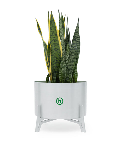 Hidden Silver Planter