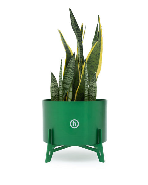 Hidden Green Planter