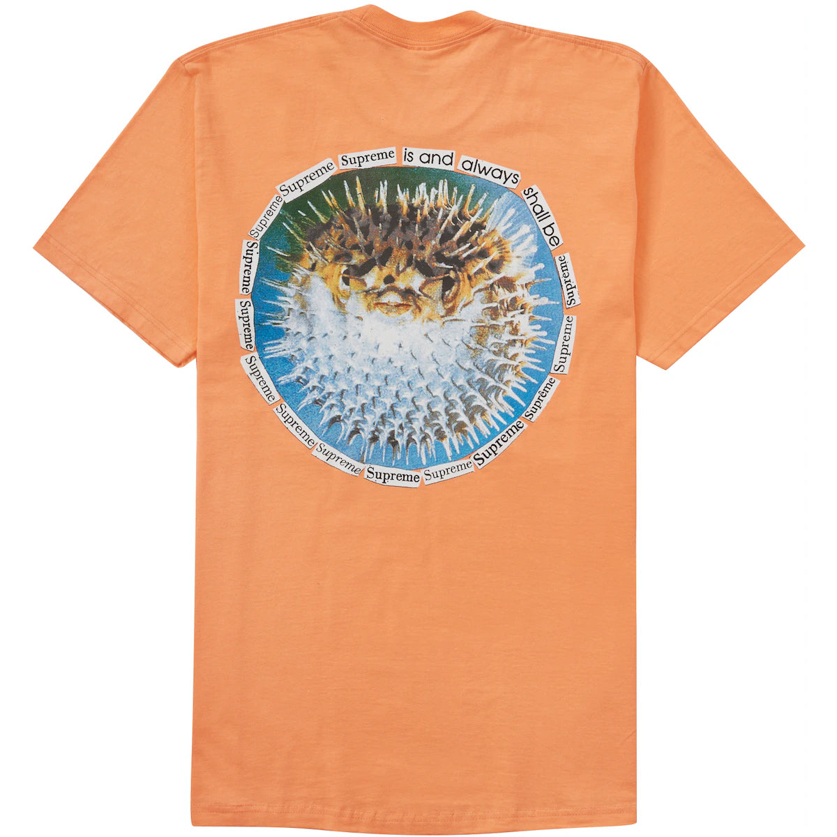 Supreme Blowfish Peach Tee