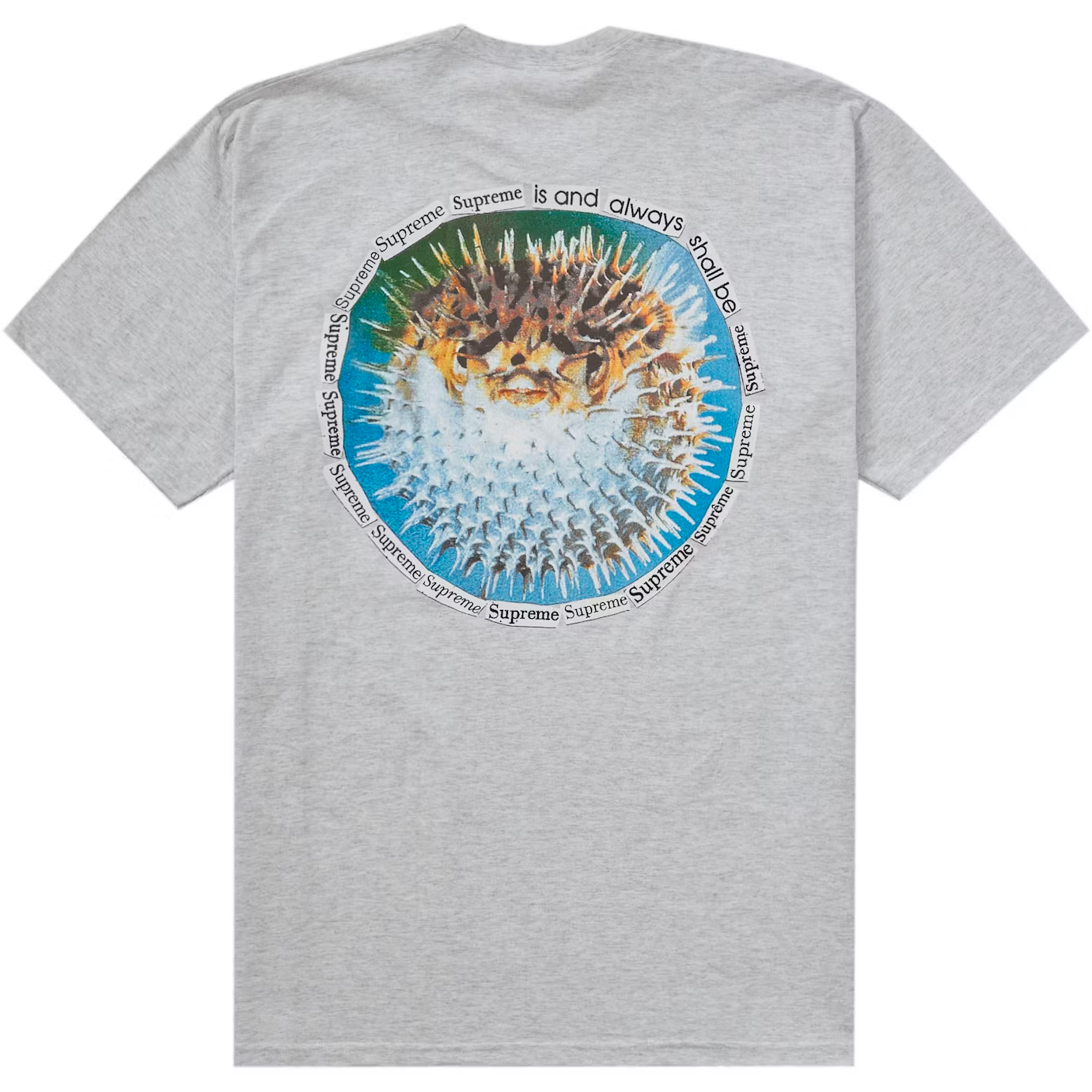 Supreme Blowfish Ash Grey Tee