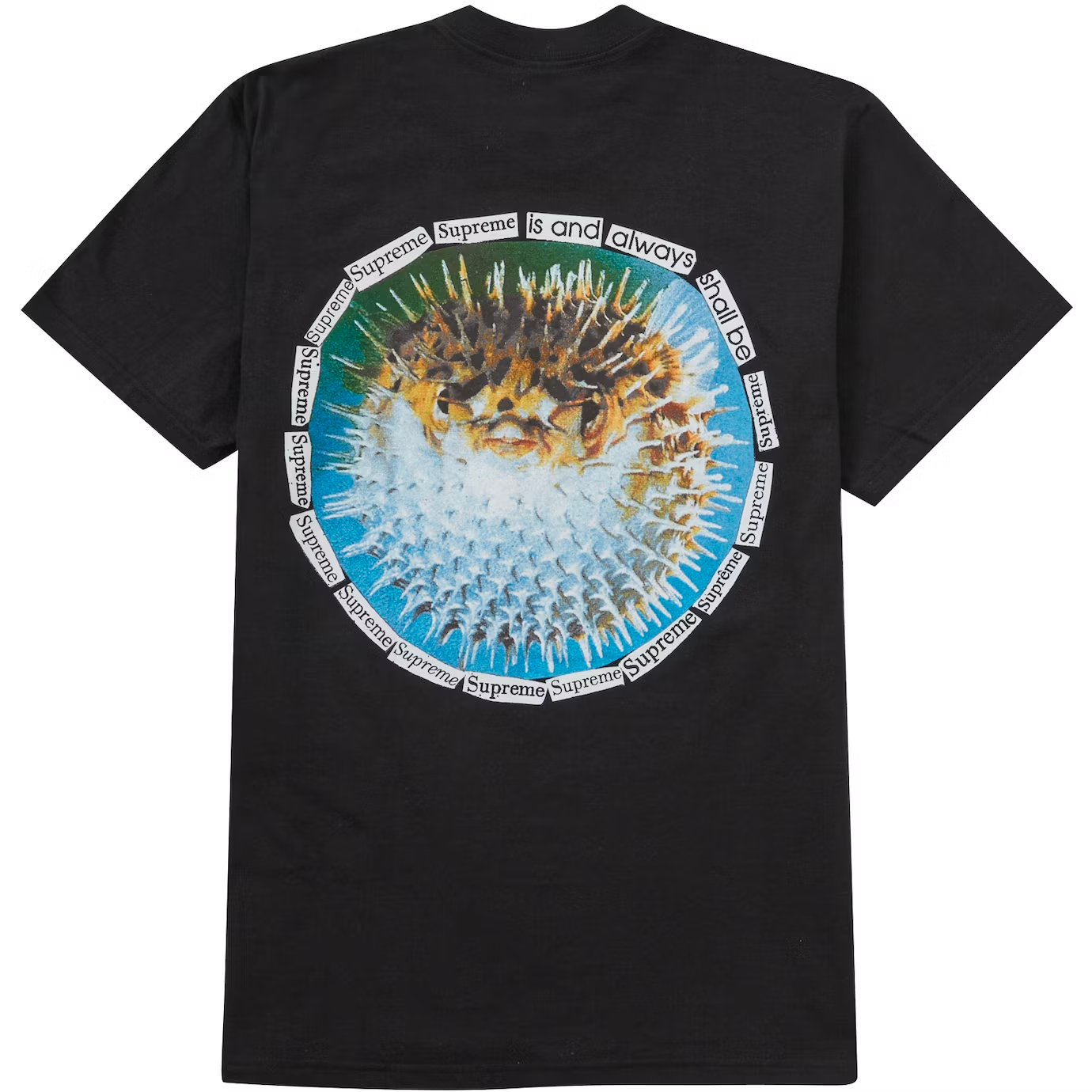Supreme Blowfish Black Tee