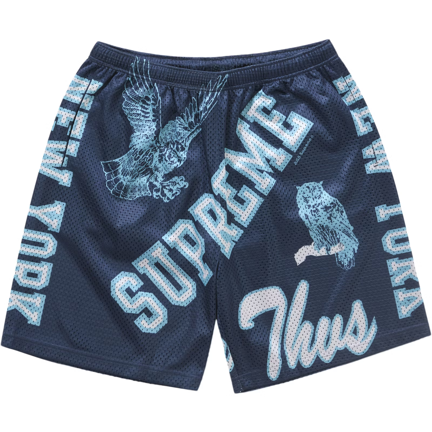 Supreme Varsity Navy Mesh Shorts