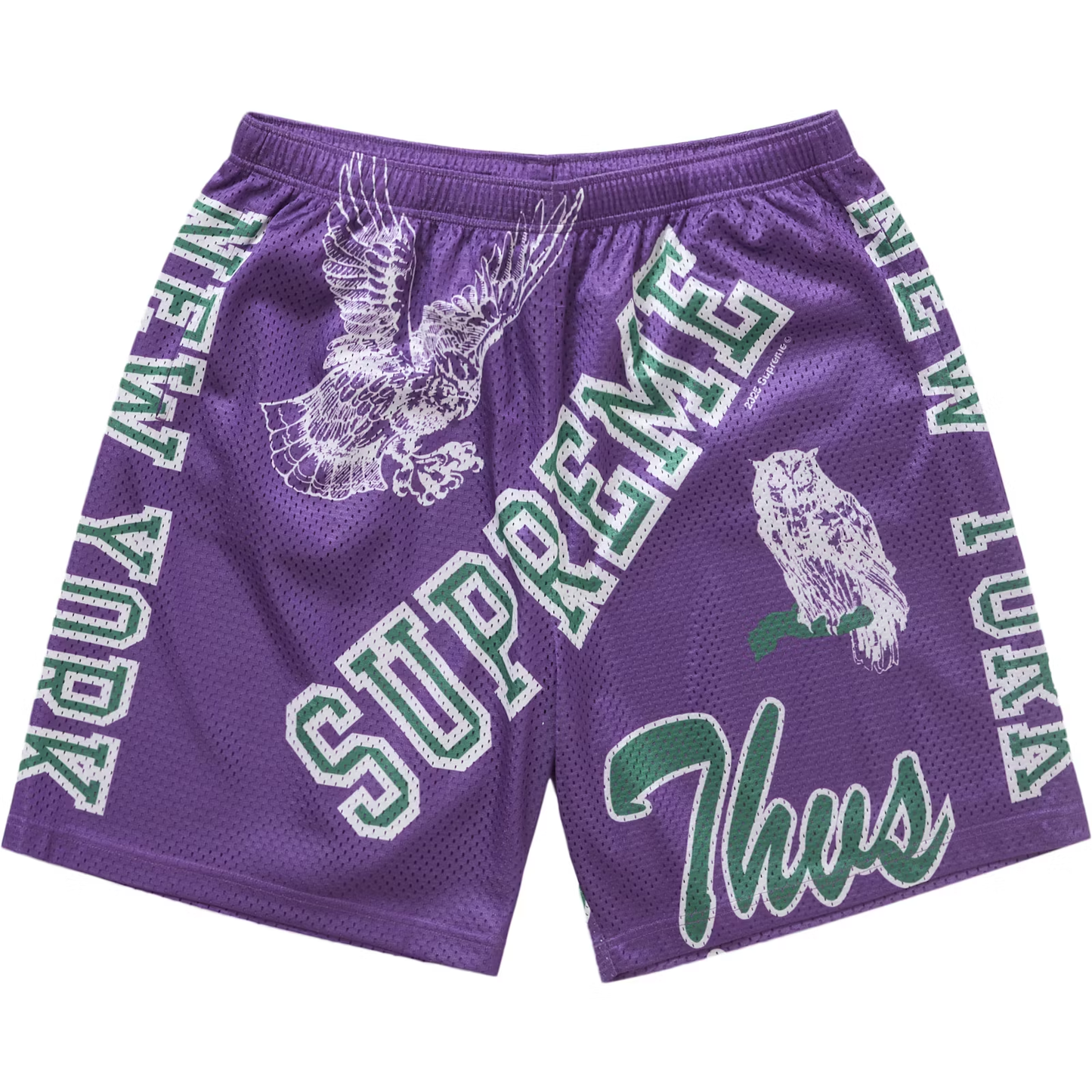 Supreme Varsity Purple Mesh Shorts