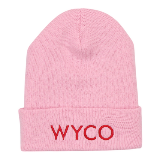 WyCo Vintage Anarchy Pink Red Beanie