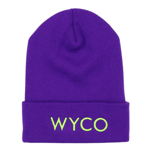 WyCo Vintage Anarchy Purple Beanie