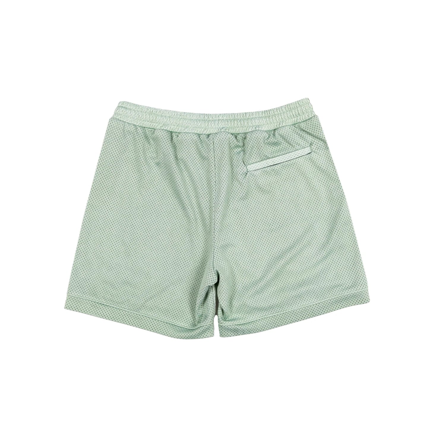Hidden Mesh Mint Large Shorts