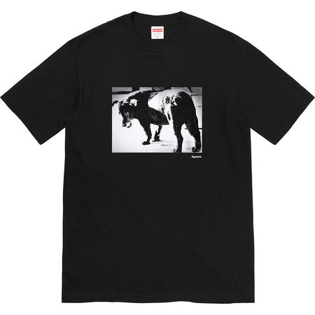 Supreme Moriyama Dog Black Small Tee