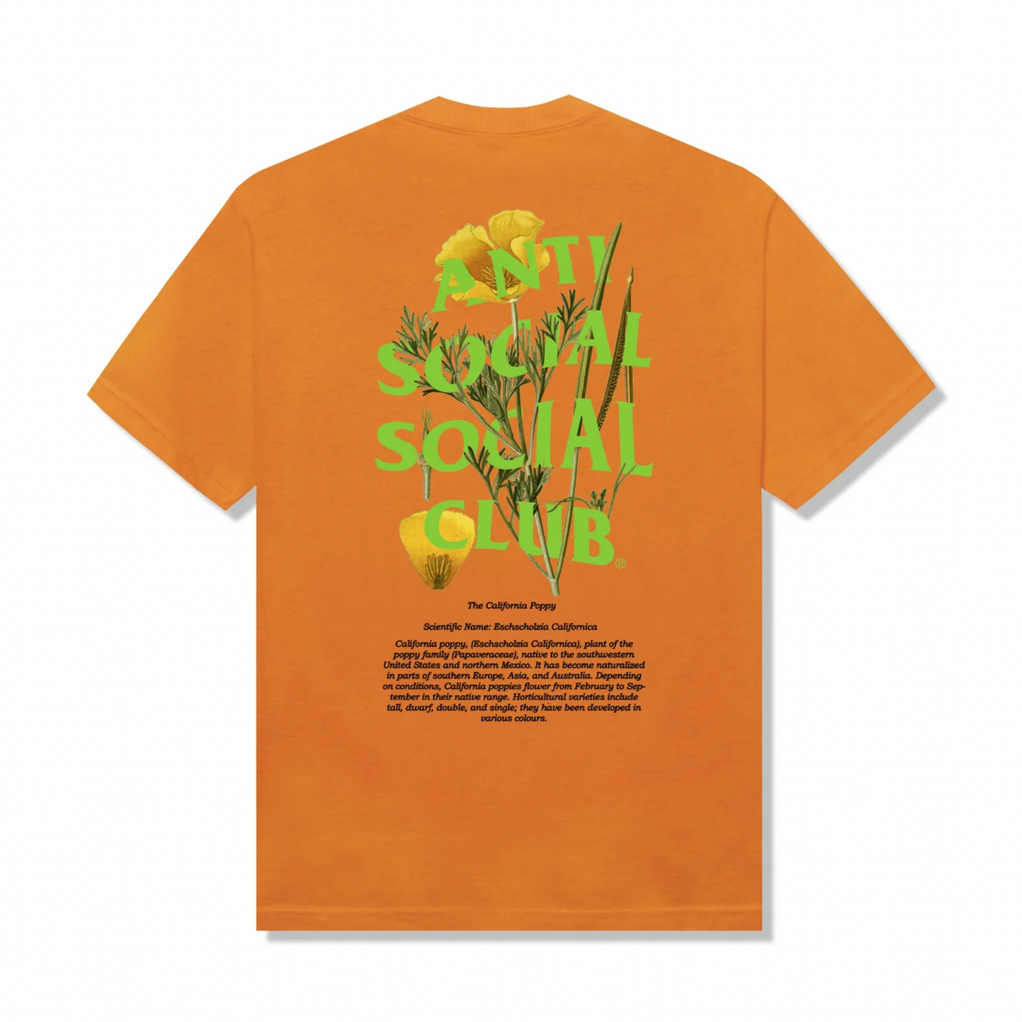 Anti social social club t shirt orange 2025