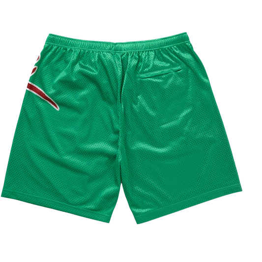 Supreme Big Script Green Mesh Shorts
