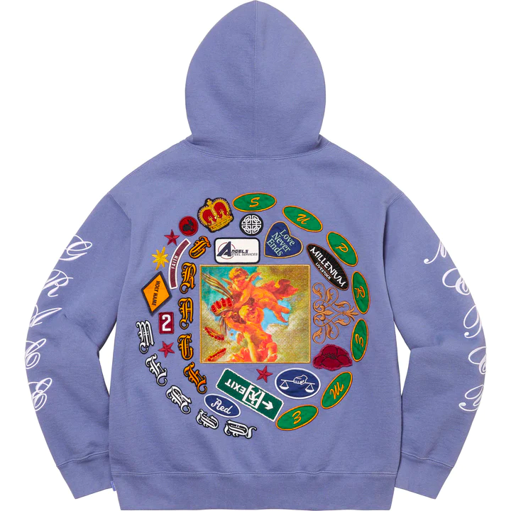 Supreme 2024 embryo hoodie