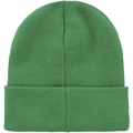 Supreme Proffessional Green Beanie