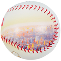 Supreme x Rawlings REV1X Aerial Baseball